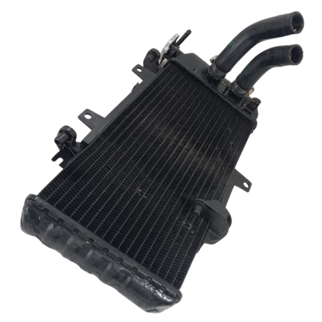 Radiador Água Marca BMW Modelo F800 R Ano 2012 Origin