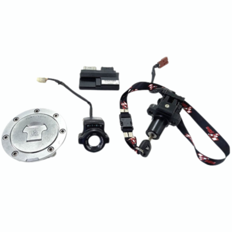 Kit Ignição Marca Honda Hornet Cb 600 F Ano 2009 Original