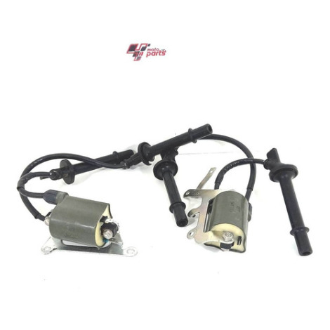 Cachimbo Bobina Honda Hornet 600 F Ano 2009 Original