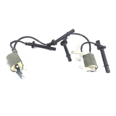 Cachimbo Bobina Honda Hornet 600 F Ano 2009 Original