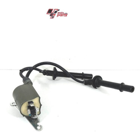 Cachimbo Bobina Honda Hornet 600 F Ano 2009 Original