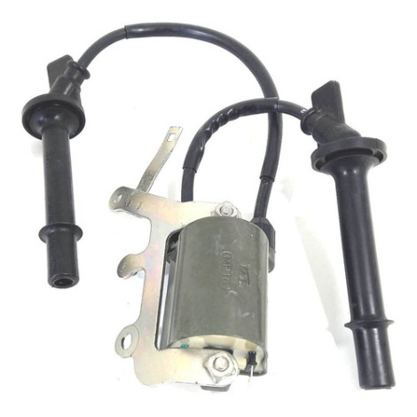 Cachimbo Bobina Honda Hornet 600 F Ano 2009 Original