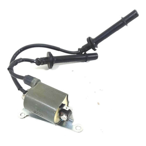 Cachimbo Bobina Honda Hornet 600 F Ano 2009 Original