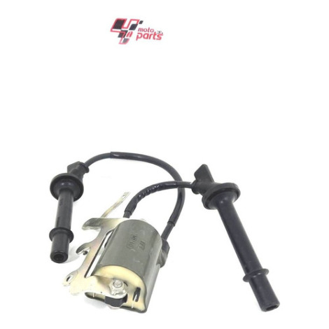 Cachimbo Bobina Honda Hornet 600 F Ano 2009 Original