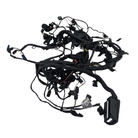 Chicote Életrico Principal BMW F800 R Ano 2012 Original