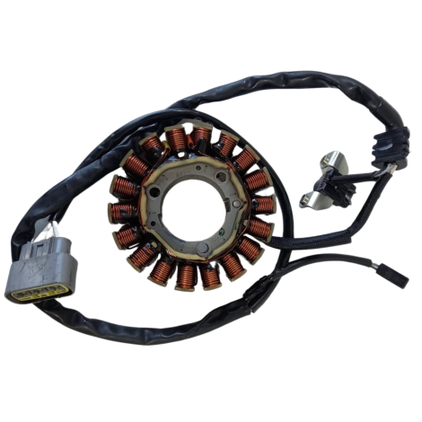 Estator Marca BMW Modelo F800R Ano 2013 Original 