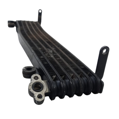 Radiador Óleo Marca Honda Cbr1100 Xx Ano 1999 Origina AVARIA