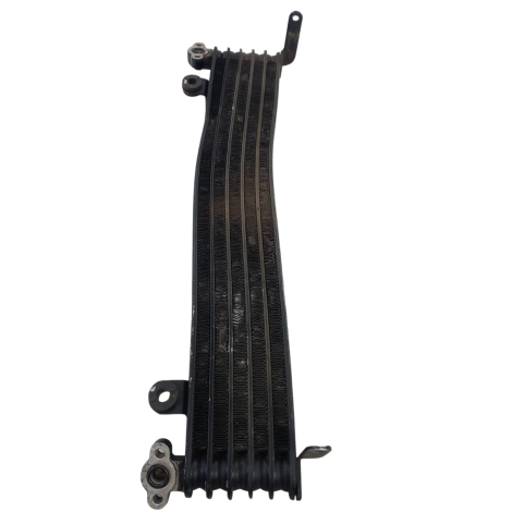 Radiador Óleo Marca Honda Cbr1100 Xx Ano 1999 Origina AVARIA