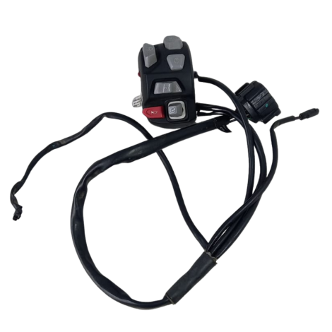 Chave Luz Triumph Modelo Tiger 1200 GT EX Ano 2022 Original