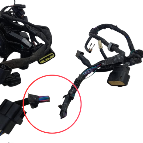 Chicote Principal Triumph Tiger 1200 GT EX 2022 Origi AVARIA