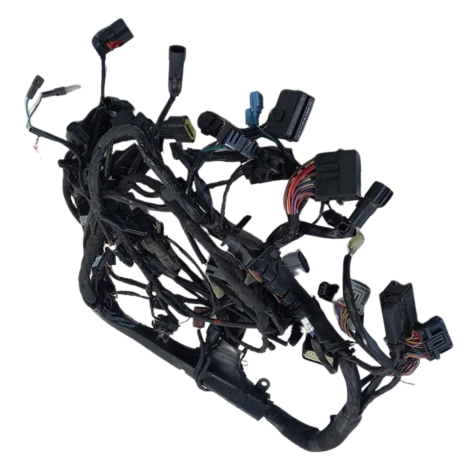 Chicote Principal Triumph Tiger 1200 GT EX 2022 Origi AVARIA