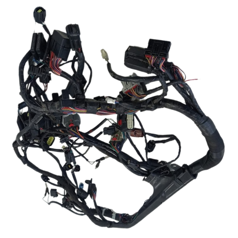 Chicote Principal Triumph Tiger 1200 GT EX 2022 Origi AVARIA