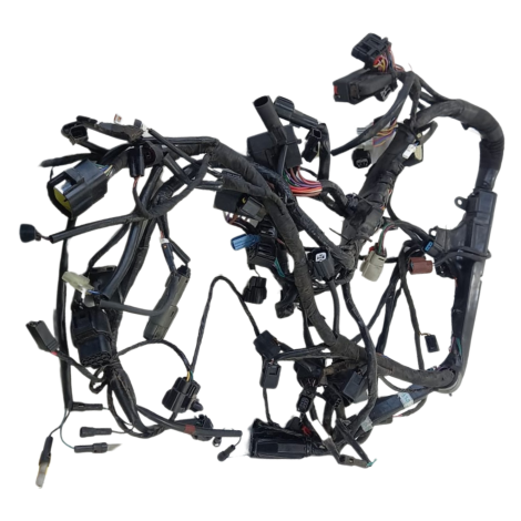 Chicote Principal Triumph Tiger 1200 GT EX 2022 Origi AVARIA