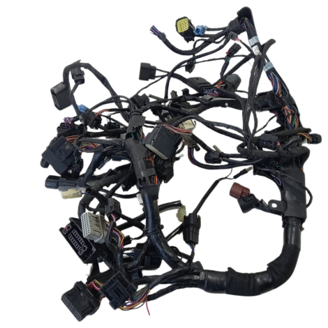 Chicote Principal Triumph Tiger 1200 GT EX 2022 Origi AVARIA