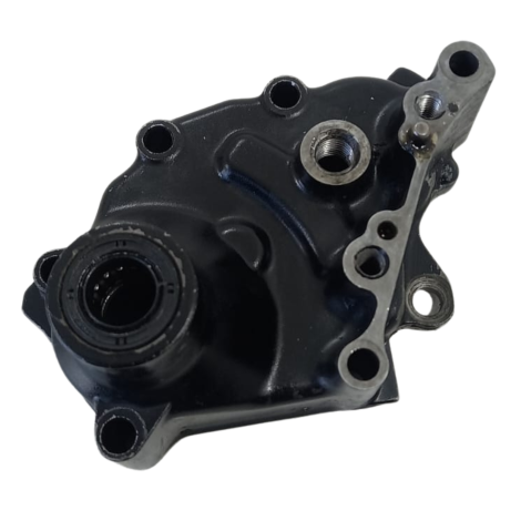 Tampa Eixo Pedal Câmbio Kawasaki ER-6N Ano 2010 Original