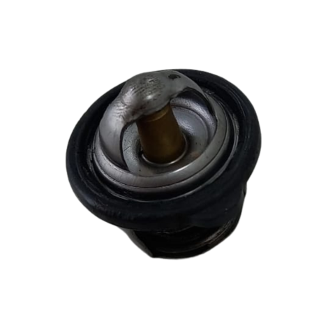 Valvula Termostatica Marca Yamaha Modelo MT-03 Ano 2017 Orig