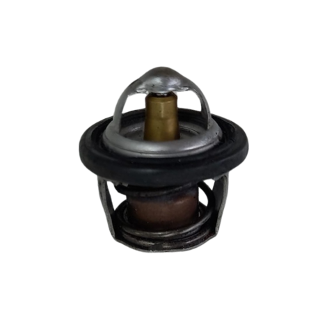 Valvula Termostatica Marca Yamaha Modelo MT-03 Ano 2017 Orig