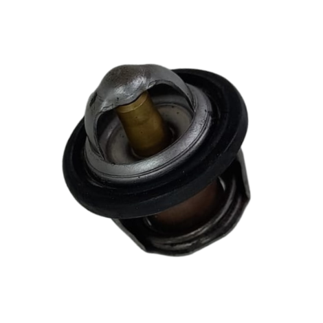 Valvula Termostatica Marca Yamaha Modelo MT-03 Ano 2017 Orig