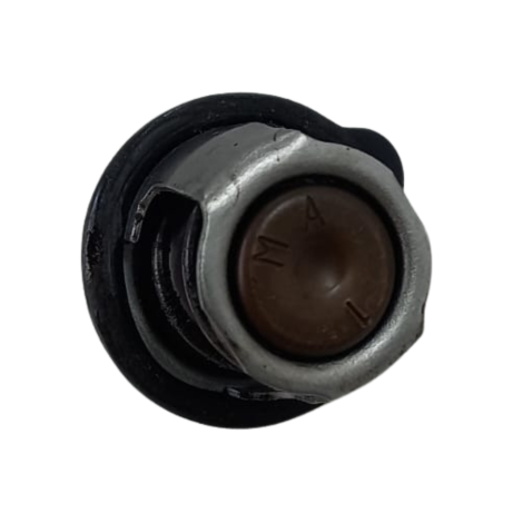 Valvula Termostatica Marca Yamaha Modelo MT-03 Ano 2017 Orig