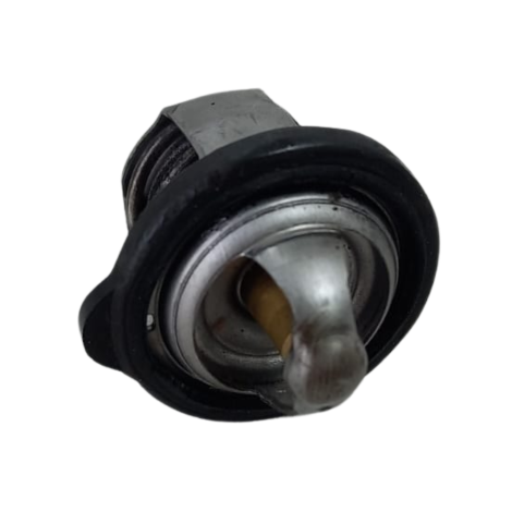 Valvula Termostatica Marca Yamaha Modelo MT-03 Ano 2017 Orig