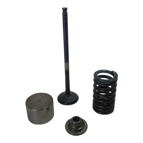 Valvula Admissão Marca Yamaha Modelo MT03 ANO 2018 Original