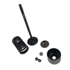 Valvula Admissão Marca Yamaha Modelo MT09 Ano 2020 Original