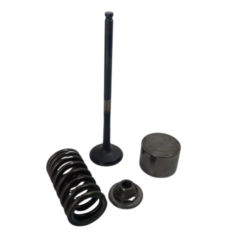 Valvula Admissão Marca Yamaha Modelo MT09 Ano 2020 Original