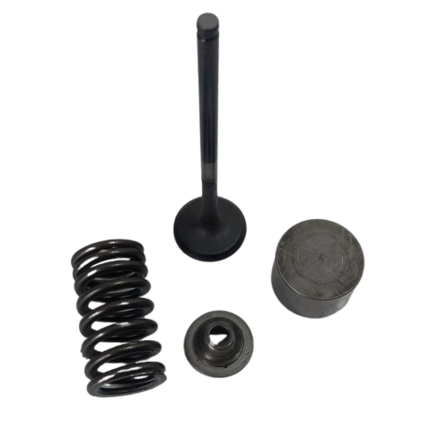 Valvula Admissão Marca Yamaha Modelo MT09 Ano 2020 Original