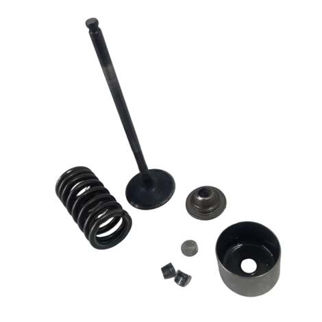 Valvula Escape Marca Yamaha Modelo MT09 Ano 2020 Original