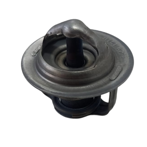 Valvula Termostatica Kawasaki Modelo Ninja 650 Ano 2021 Orig