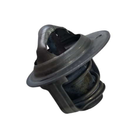 Valvula Termostatica Kawasaki Modelo Ninja 650 Ano 2021 Orig