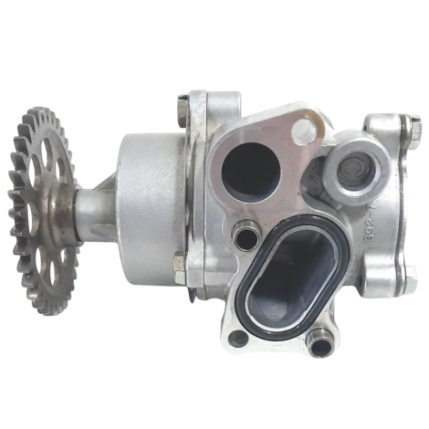 Bomba Óleo Marca Suzuki Modelo Gsx750 F Ano 2009 Original