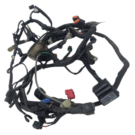 Chicote Principal Kawasaki Modelo Ninja 650 2021 Orig Avaria