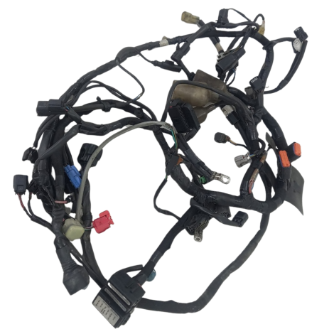 Chicote Principal Kawasaki Modelo Ninja 650 2021 Orig Avaria