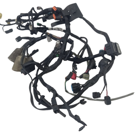 Chicote Principal Kawasaki Modelo Ninja 650 2021 Orig Avaria