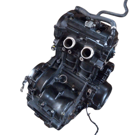 Motor Completo Marca BMW Modelo F800 GS Ano 2012 Original
