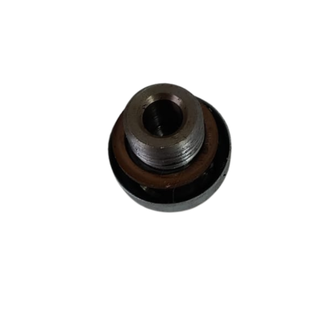 Valvula Alivio Óleo Suzuki Modelo Gsx750 F Ano 2009 Original