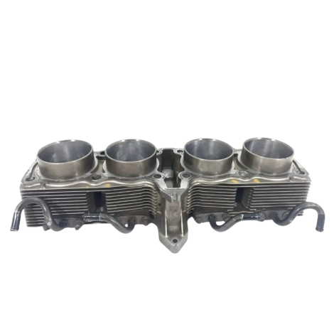 Cilindro Motor Marca Suzuki Modelo Gsx750 F Ano 2009 Origina