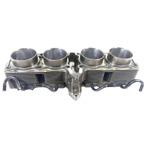 Cilindro Motor Marca Suzuki Modelo Gsx750 F Ano 2009 Origina