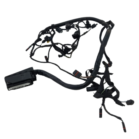 Chicote Corpo Injeção BMW Modelo F800 GS Ano 2012 Original