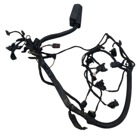 Chicote Corpo Injeção BMW Modelo F800 GS Ano 2012 Original