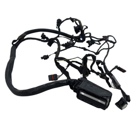 Chicote Corpo Injeção BMW Modelo F800 GS Ano 2012 Original