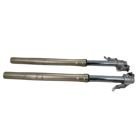 Par Bengalas Marca BMW Modelo F800 GS Ano 2012 Original