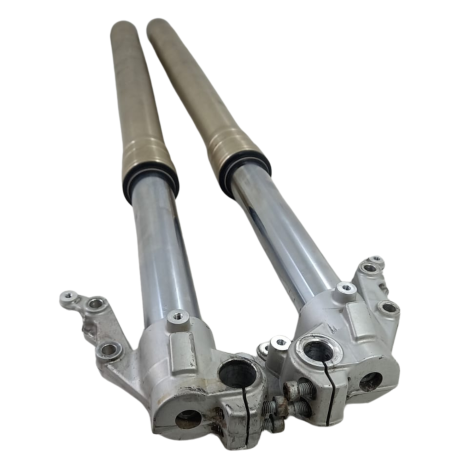 Par Bengalas Marca BMW Modelo F800 GS Ano 2012 Original