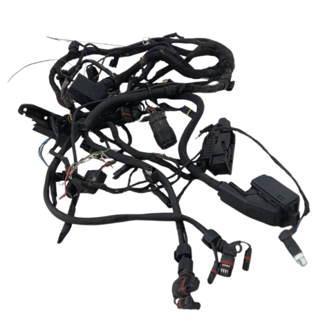 Chicote Principal Marca BMW F800 GS Ano 2012 Original Avaria