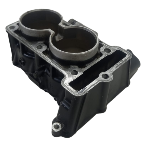 Cilindro Motor Marca Kawasaki Versys 300 X Ano 2018 Original