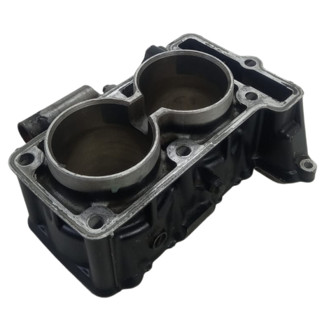 Cilindro Motor Marca Kawasaki Versys 300 X Ano 2018 Original