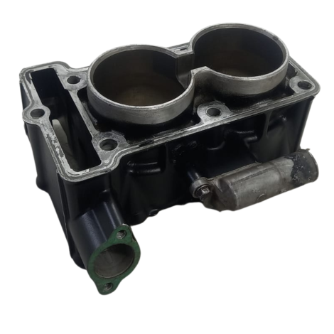Cilindro Motor Marca Kawasaki Versys 300 X Ano 2018 Original