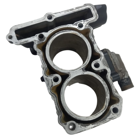 Cilindro Motor Marca Kawasaki Versys 300 X Ano 2018 Original