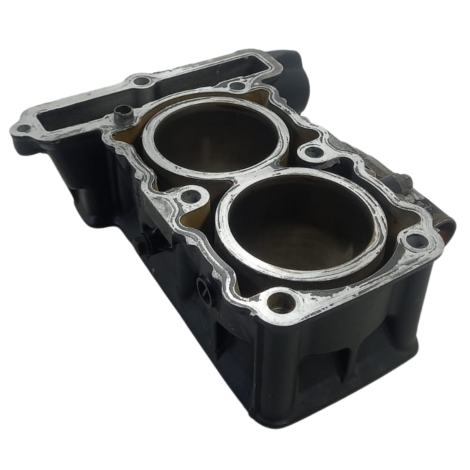 Cilindro Motor Marca Kawasaki Versys 300 X Ano 2018 Original